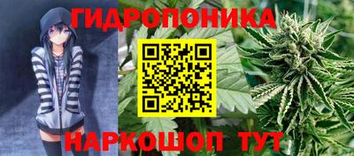скорость Кингисепп