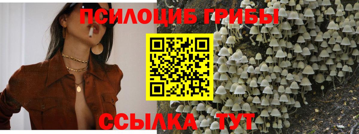 Корсаков  Псилоцибиновые грибы Magic Shrooms  купить   Вход с VPN 