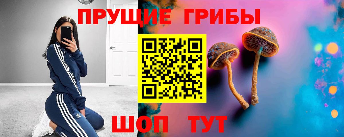 Псилоцибиновые грибы мухоморы Корсаков